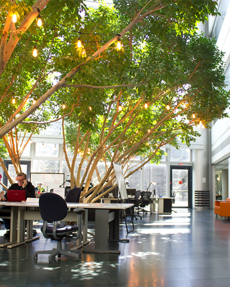 IBM Innovation Space